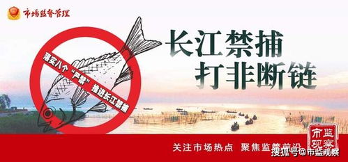 四川省樂山市市中區市場監管局 亮劍“長江禁漁”，重拳整治漁具銷售見實效